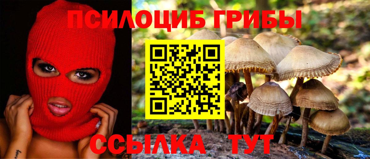 хочу наркоту  Вход с VPN  Каменск-Шахтинский  Псилоцибиновые грибы Psilocybe 