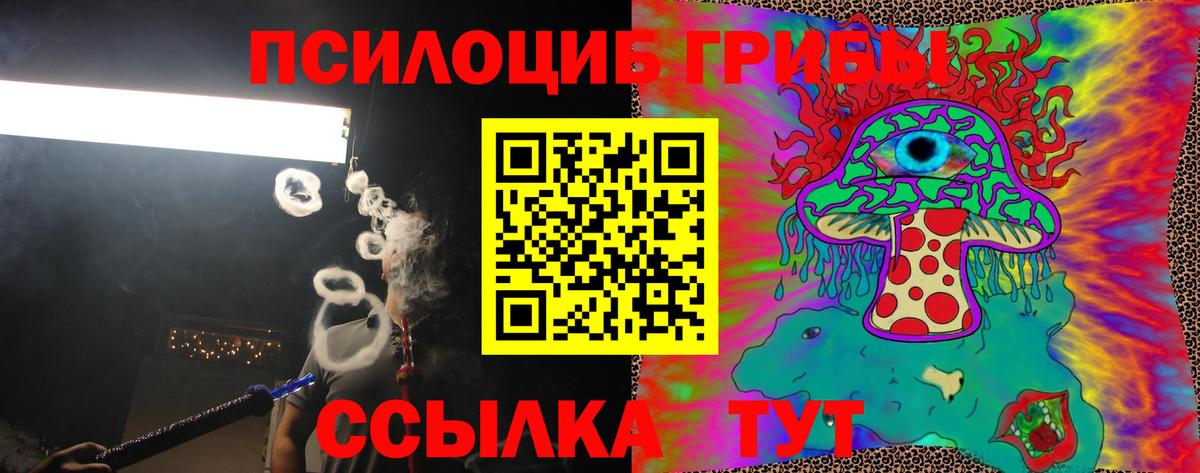 Псилоцибиновые грибы мицелий Каменск-Шахтинский
